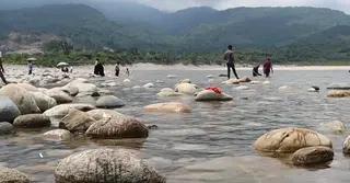 সিলেটে অবৈধভাবে বালু-পাথর উত্তোলন, সংরক্ষণ, পরিবহন ও বিক্রয় নিষিদ্ধ ঘোষণা